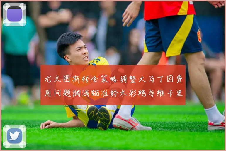 尤文图斯转会策略调整大马丁因费用问题搁浅瞄准铃木彩艳与维卡里奥